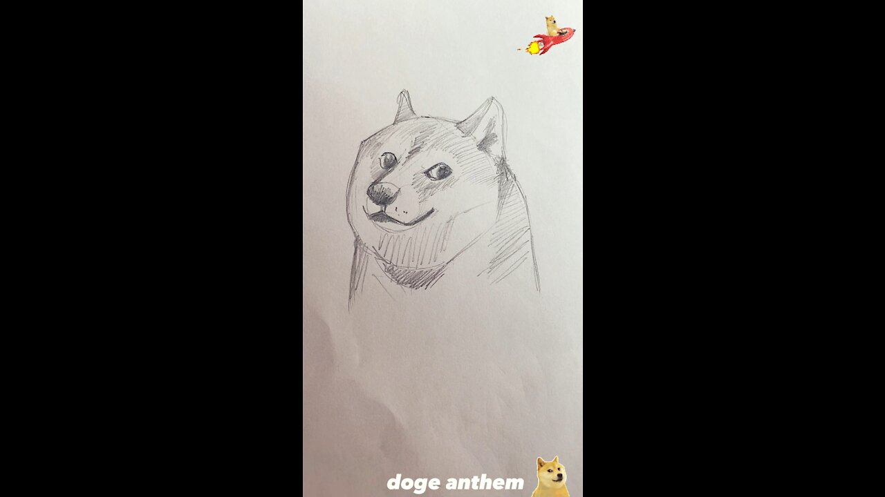 Dogecoin Anthem | doge to the moon music by Elaizz - shiba inu anthem