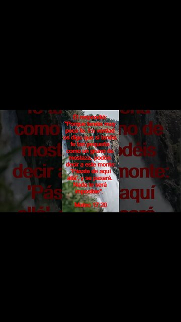 Verso Del Día | Lectura Inspiradora Para Empezar El Día. | 79