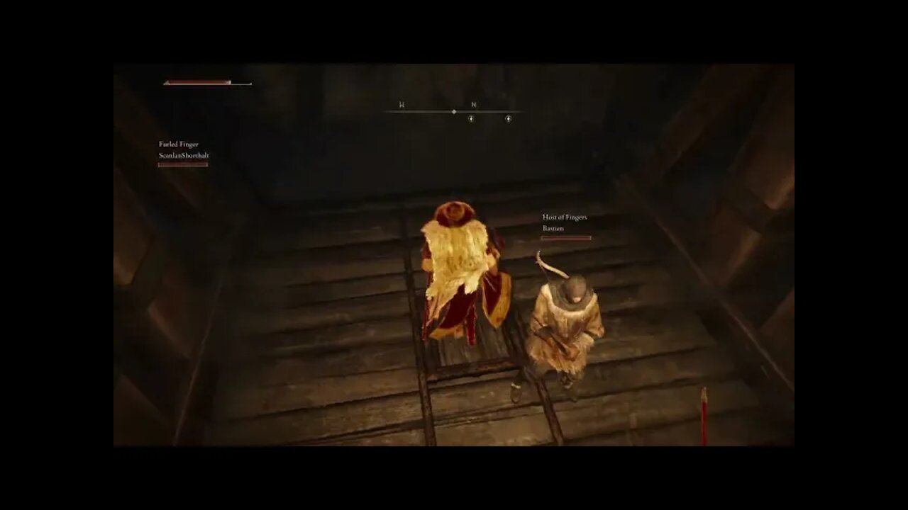 Co-op is Quite Rewarding in Elden Ring | Stream Clips