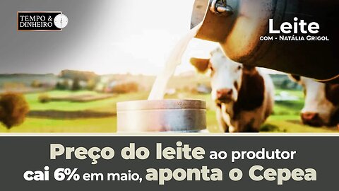 Leite: preço ao produtor cai 6% em maio ,aponta o Cepea