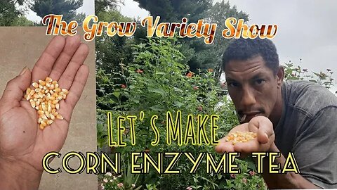 A Lil' Garden Boost: Corn Enzyme Tea (The Grow Variety Show EP.208)