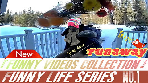 Funny Videos Collection💽Funny Life Series NO.1