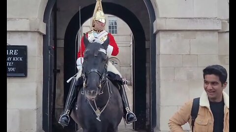 Get back shouts and and tourist's reactions #horseguardsparade