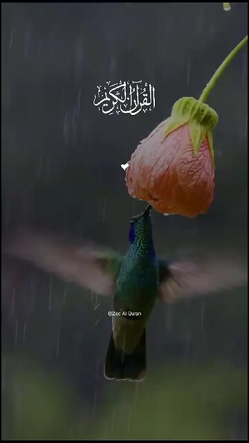 Durood Ibrahim