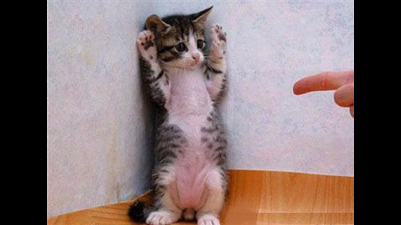 cutest punishment you have ever seen