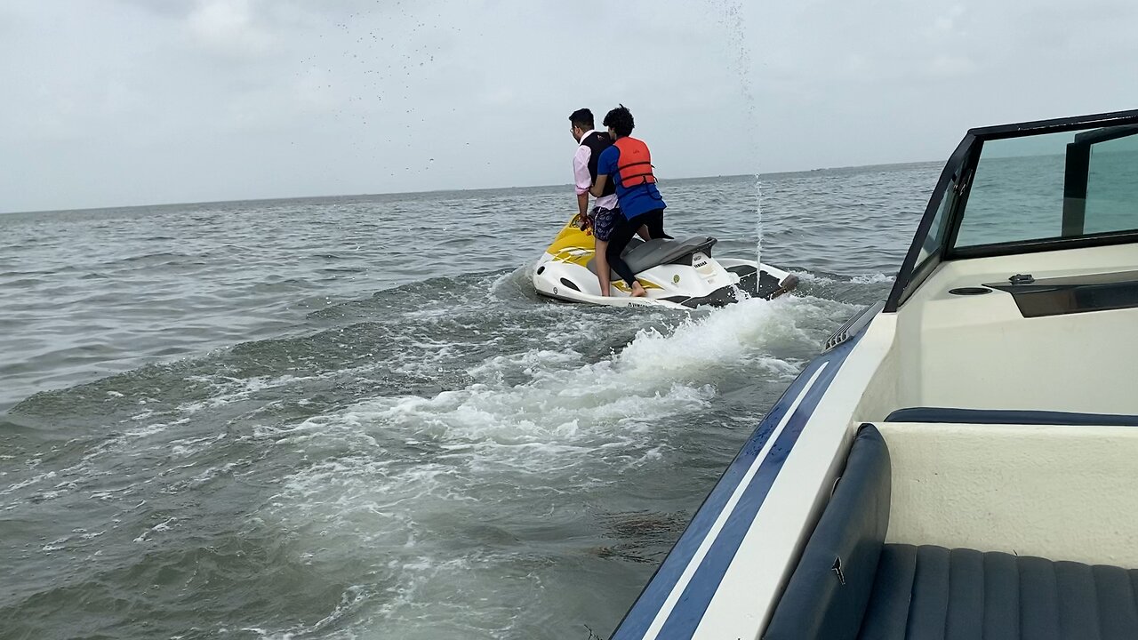 Shark attack
