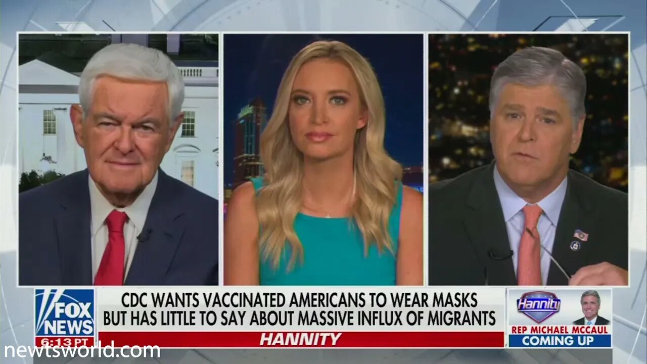 Newt Gingrich on Fox News Channel's Hannity | August 2, 2021