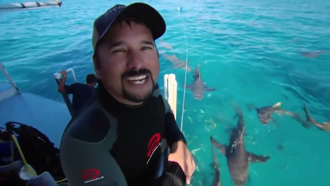 Shark Divers - One of the World's Most Dangerous Jobs