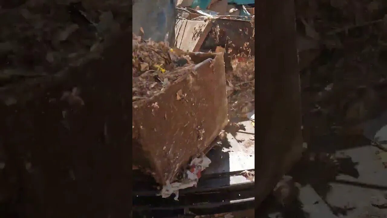 A BUNCH OF OLD RECORDS LOST IN A RATS NEST! SOONER STATE JUNK REMOVAL | OKLAHOMA CITY