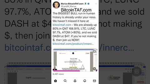 The biggest bull run in human history