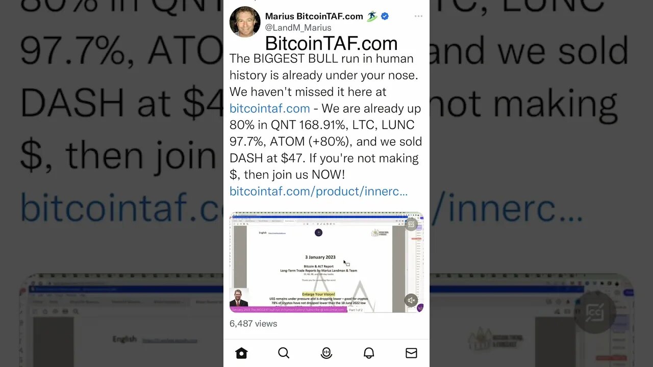 The biggest bull run in human history