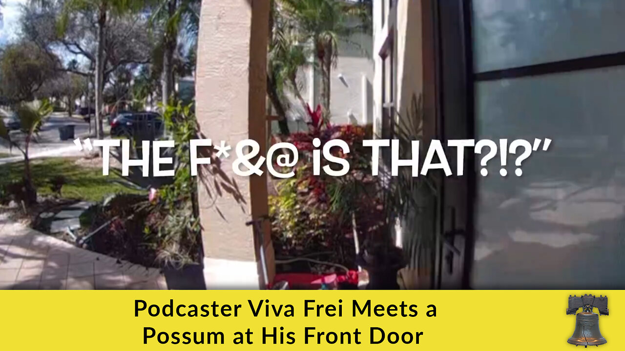 Podcaster Viva Frei Meets a Possum at His Front Door