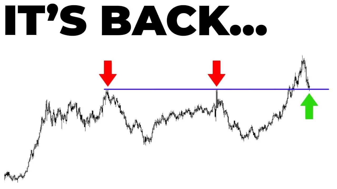 The Dollars BIG Backtest! 👀