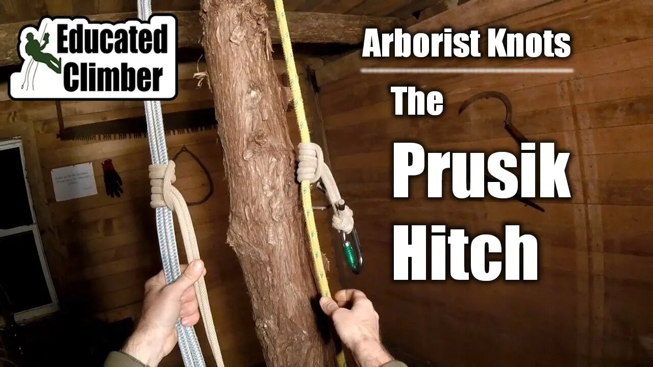 The Prusik Hitch | Arborist Knots