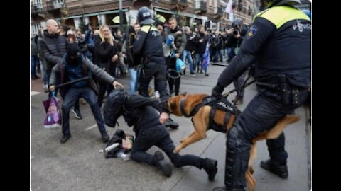 (3 mins) - Holland - Police Dog Savages Vax Mandate Protesters