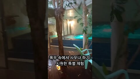 폭우속 정글에서 사우나 하기, 추억의 동남아여행