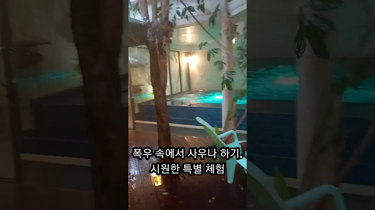 폭우속 정글에서 사우나 하기, 추억의 동남아여행