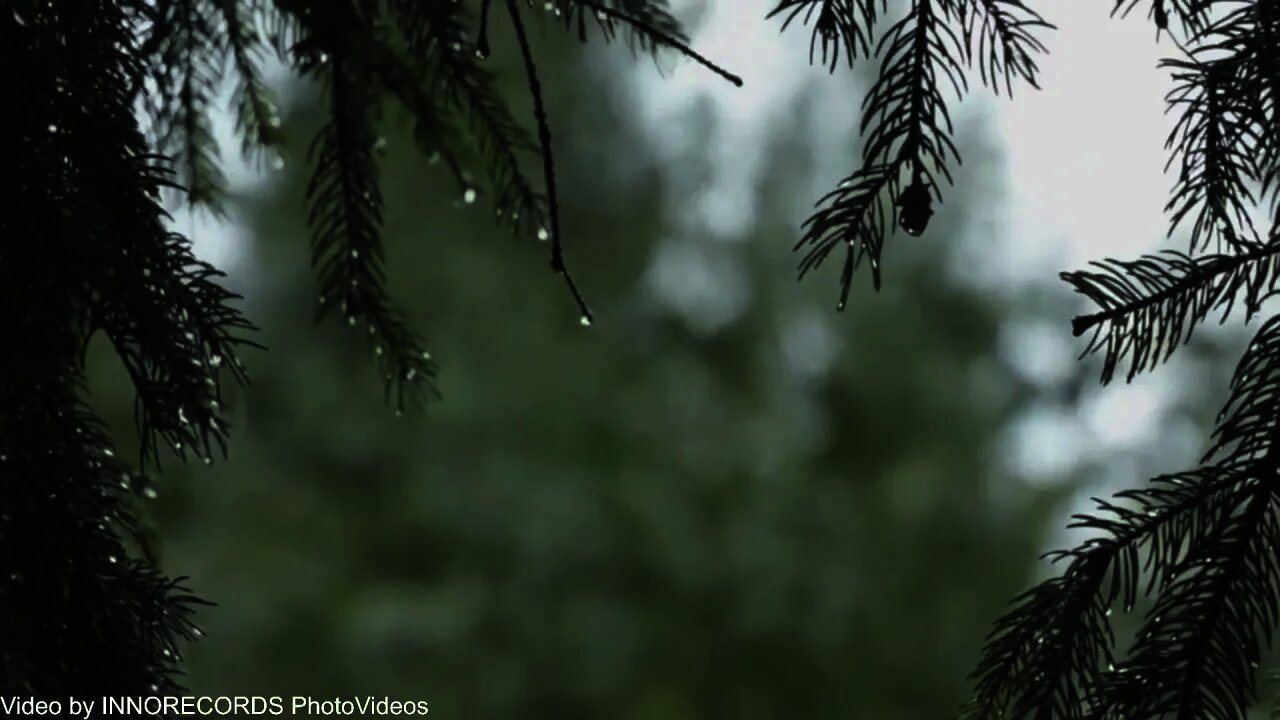 The Music Man Presents Soothing Relaxing Thunderstorm and Rain to Sleep to. Calming. Background