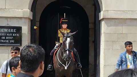 These tourist deserved to be shouted at #horseguardsparade