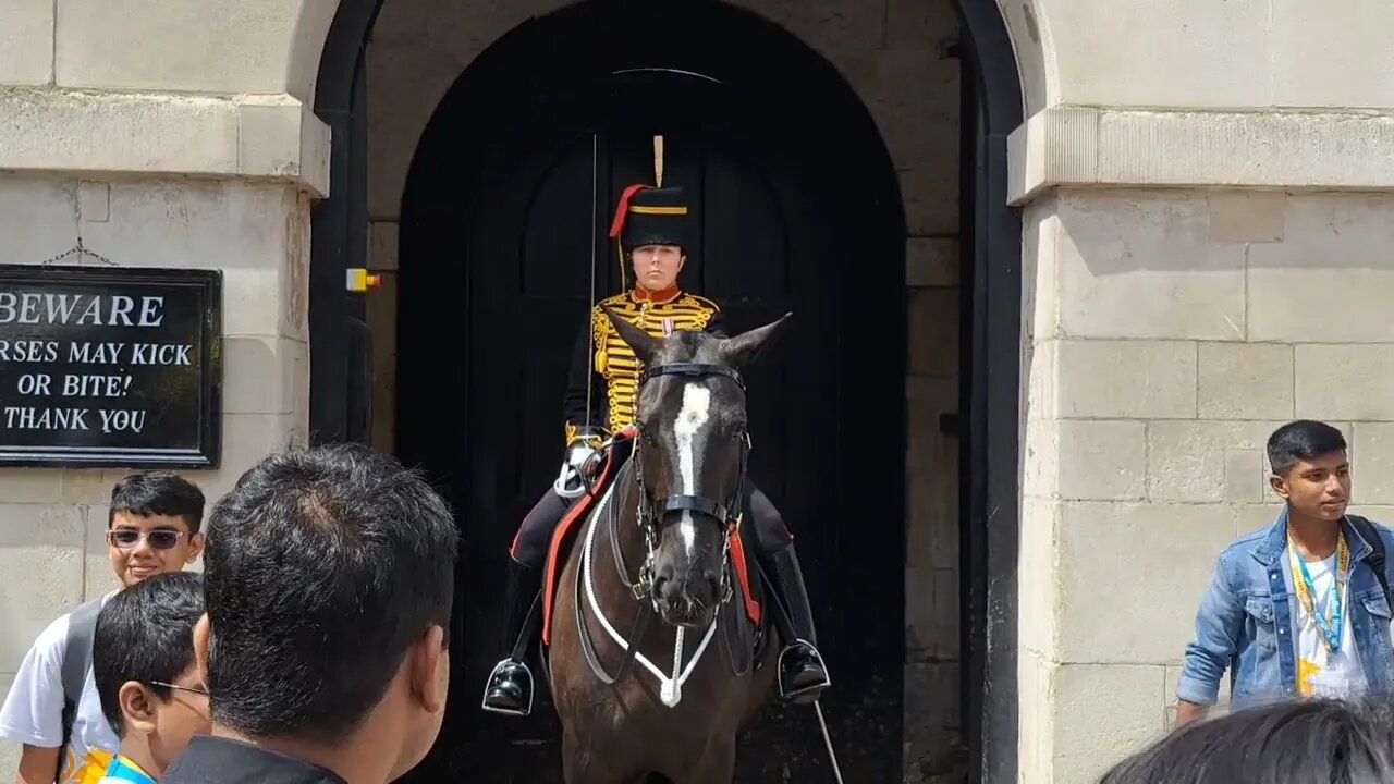 These tourist deserved to be shouted at #horseguardsparade