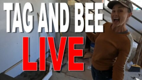 Tag and Bee Live