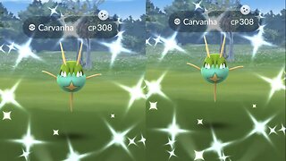 Shiny Carvanha Reaction