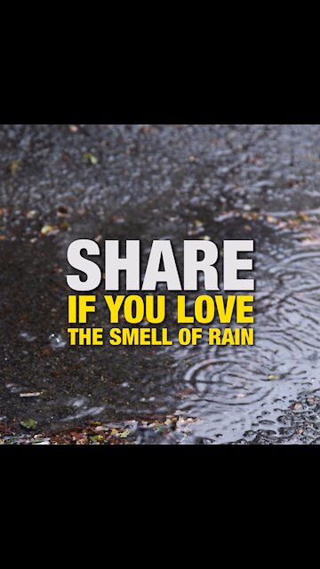 Love the Smell of Rain [GMG Originals]