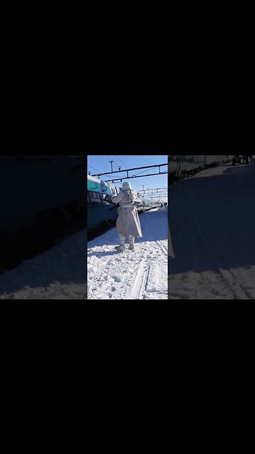 Snowtrooper Greets VY Norway Train