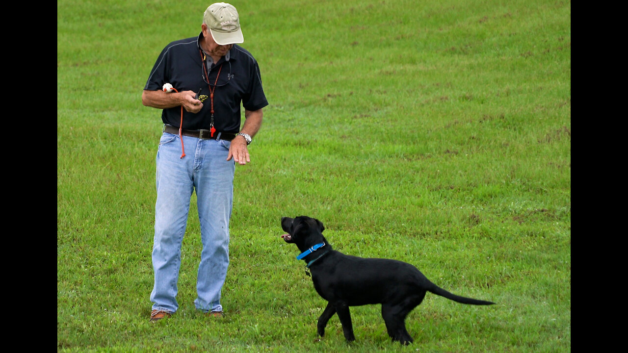 Ydrill from Homeplate - Beginning version w Bill Hillmann