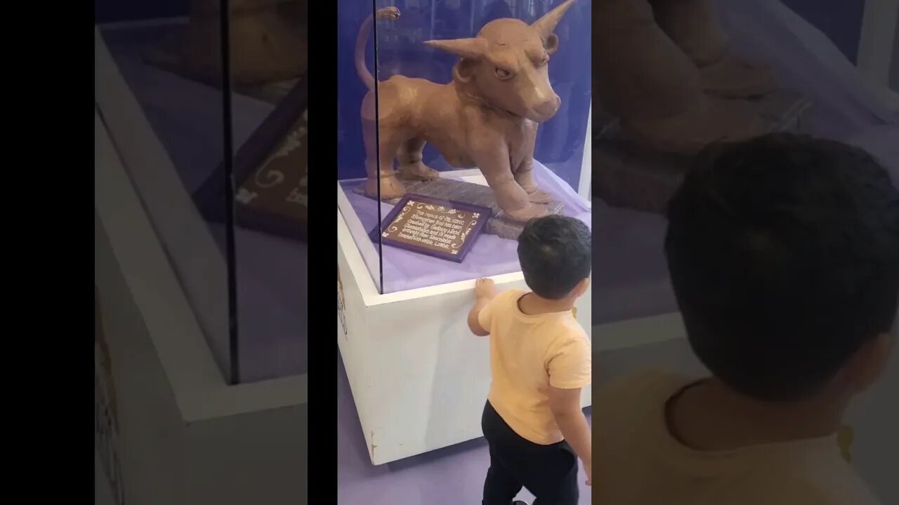 Baby bull 🐂 💖 made from chocolate at Cadbury World. #viral #cute #shorts #trending