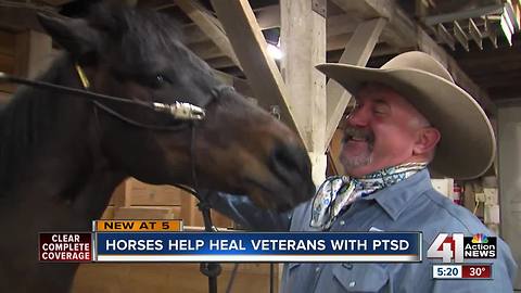 Vets fight PTSD by saddling up