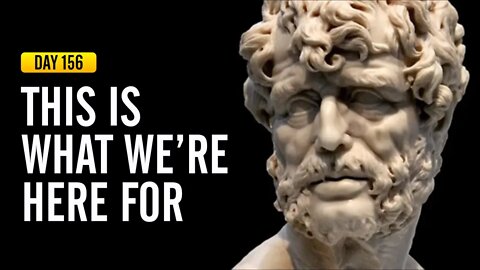 This is What We are Here For - DAY 156 - The Daily Stoic 365 Day Devotional