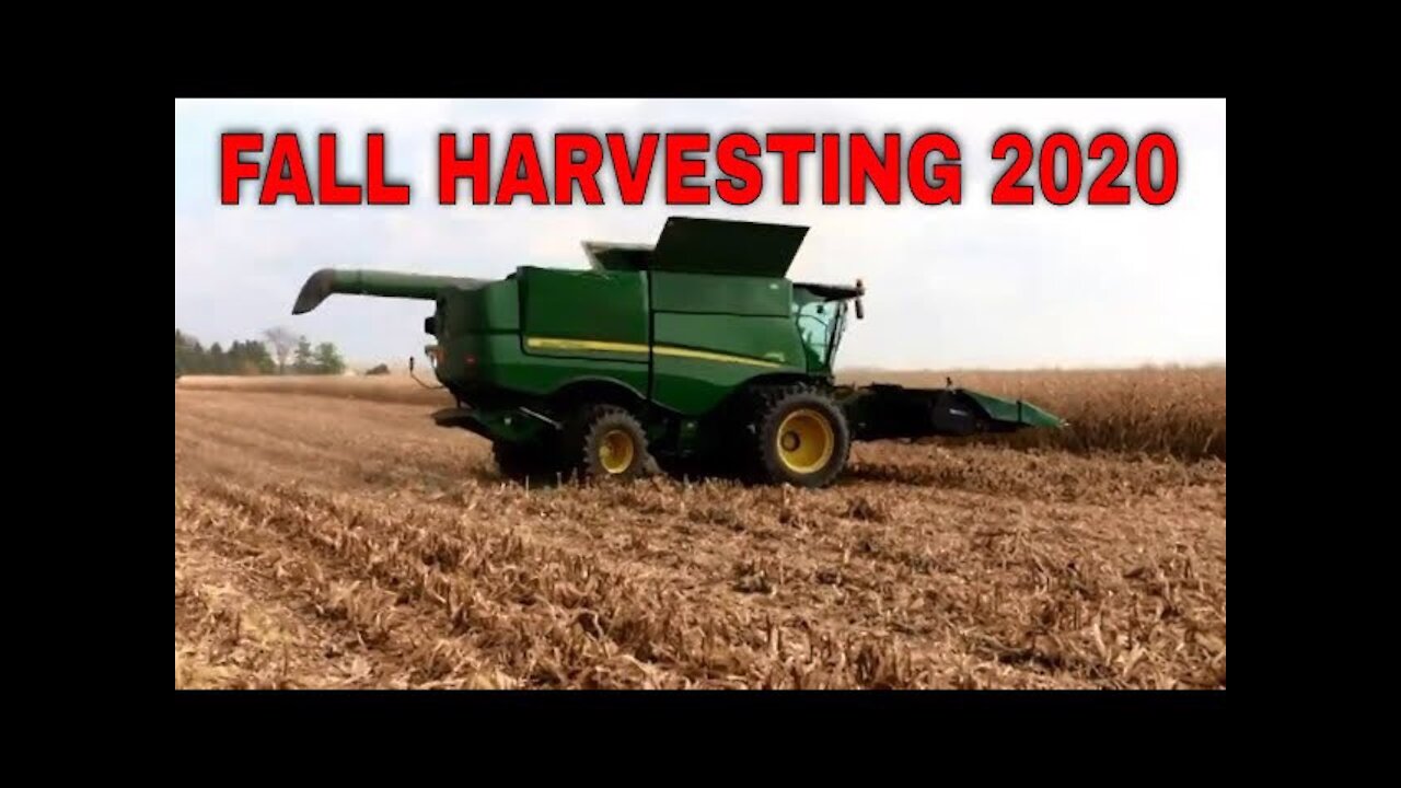 FALL HARVESTING 2020