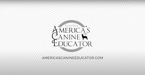 Dog training videos for beginners for new dog owner training!