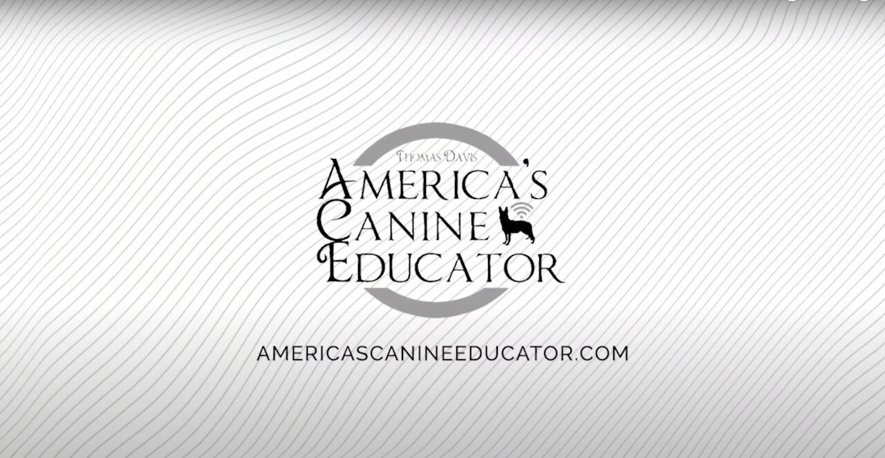 Dog training videos for beginners for new dog owner training!