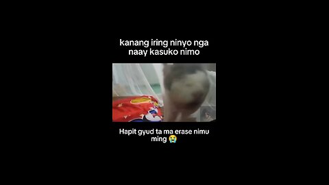 funny cat 😺