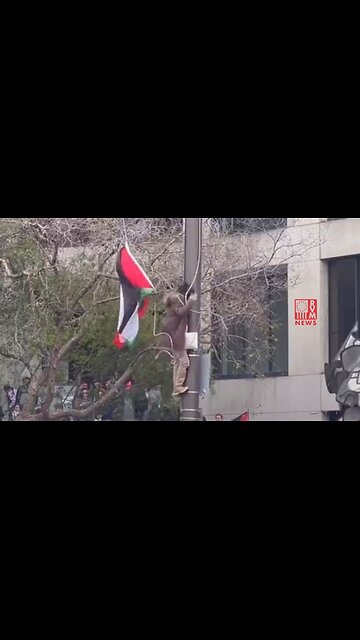 Terrorist Sympathizers Replace The American Flag In Nancy Pelosi's Back Yard Of San Francisco