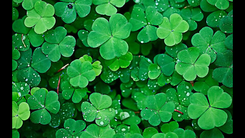 Biblical Teaching: Clovers - Teaching The Trinity To Children - Be Like Patrick!