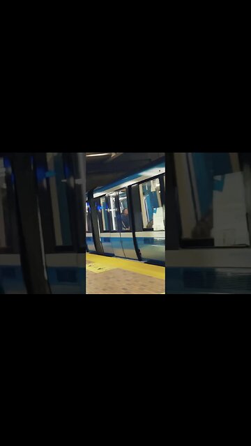 chic métro #viralvideo #montreal #traintravel