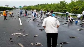 In Cina si può pescare in autostrada