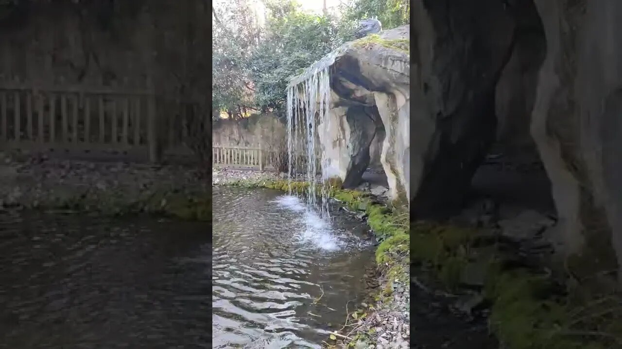 Nice waterfall at Blackpool zoo