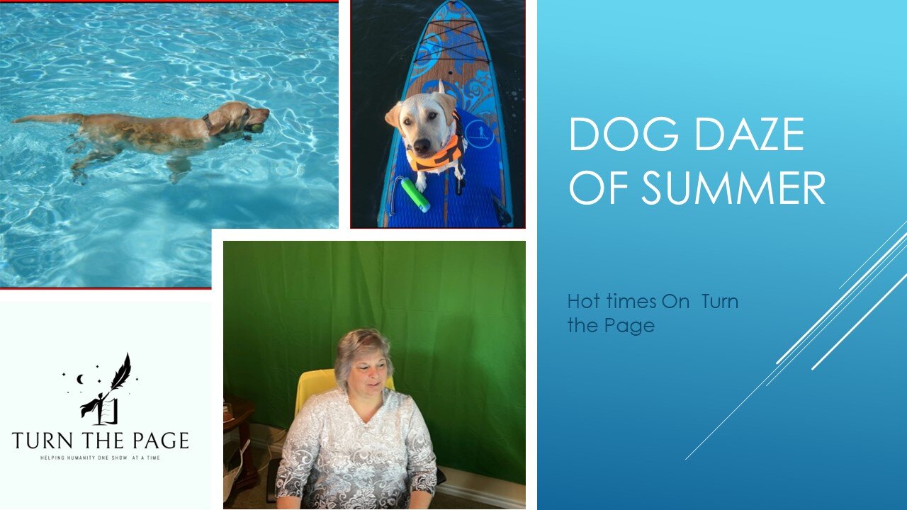 Dog Daze of Summer with Janine on Turn the Page