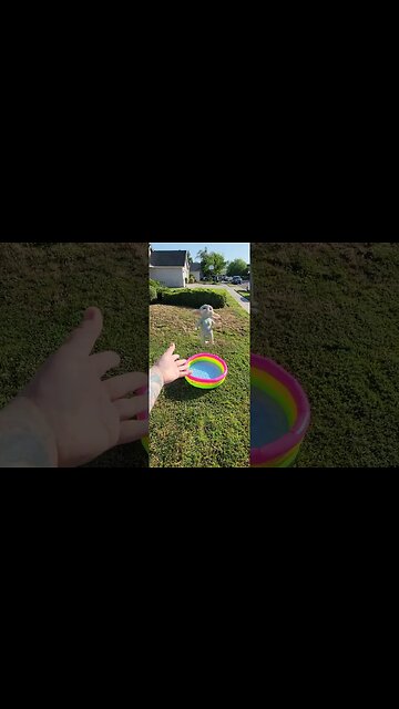 Baby Yoda Flips Into Pool #shorts