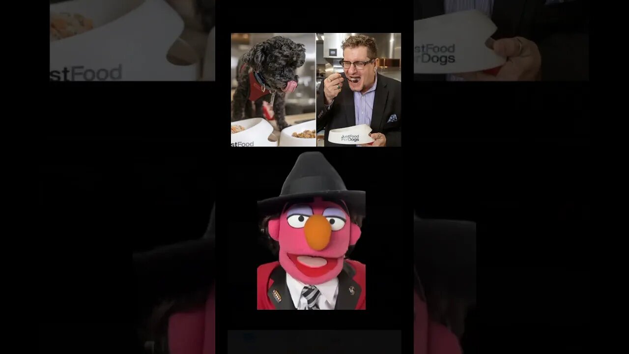 Sam NewsMan - 3/17/23 #News 📰 #Gym #DogFood #SaintPatricksDay 🍀 #WorkOut #Puppet #Parody #Satire