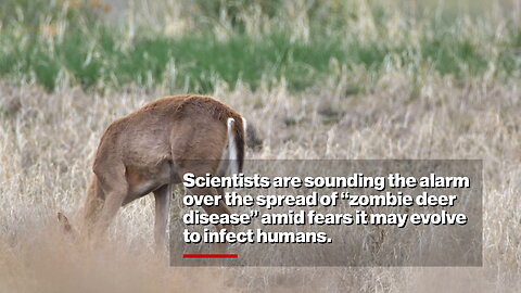 Scientists fear 100% fatal 'zombie deer disease' is evolving to infect humans