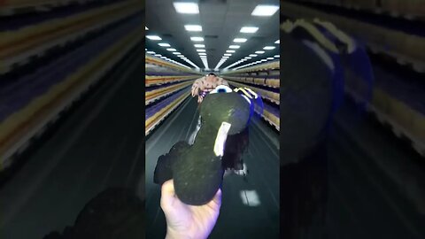 POV: When Your 🐍 Pet Snake Steals the Takis Fuego Due to Its Cravings #Shorts