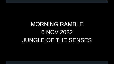 Morning Ramble - 20221106 - Jungle Of The Senses