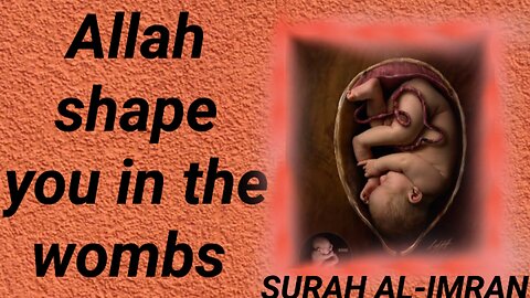 Allah shape you in the wombs