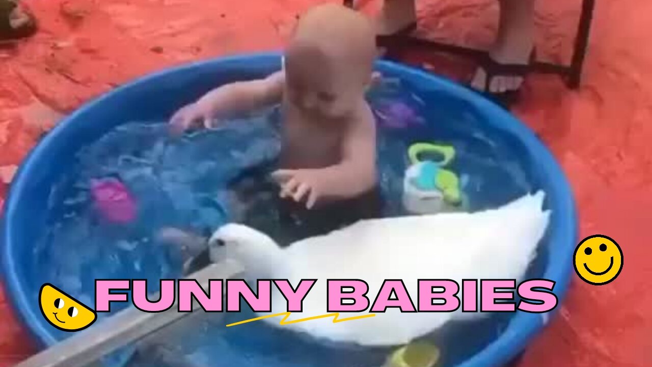 Funny Baby Reaction to Duckling in the Pool