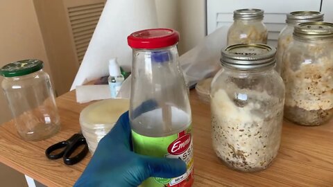 🍄 Cheap Agar Pour Bottle 🍄